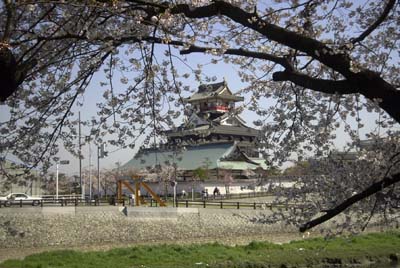 桜と清洲城